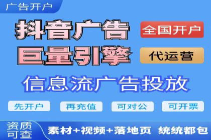 SEO与百度推广结合的营销策略——经典案例解析